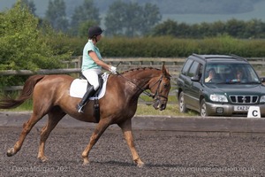 ISIS Dressage Challenge 2008